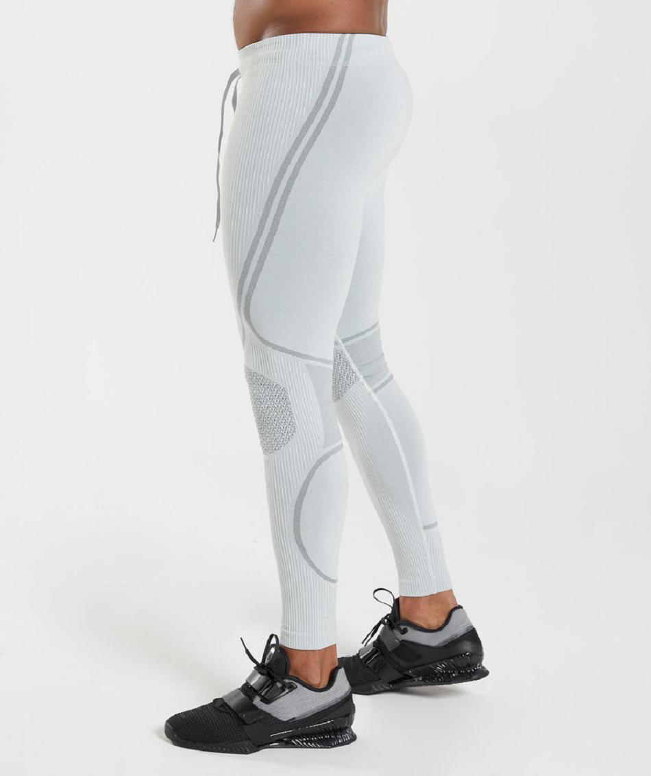 Spodnie Do Biegania Męskie Gymshark 315 Seamless Głęboka Szare Szare | PL 3355GSO